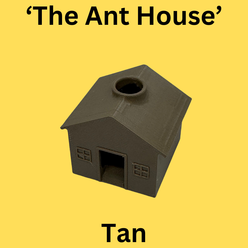 'The Ant House' - Discreet Ant Trap (Pack of 2)